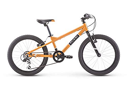 Raleigh Bikes Rowdy 20 Kids Bike for Boys Youth 4-9 Years...