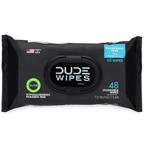 DUDE Wipes Flushable Wipes 48 Count Dispenser, Unscented Wet...
