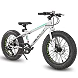 Hiland Kids Fat Tire Mountain Bikes for Boys Girls Age 5-9, Shimano 7-Speed,Dual-Disc Brake,20 Inch Kids' Bicycles