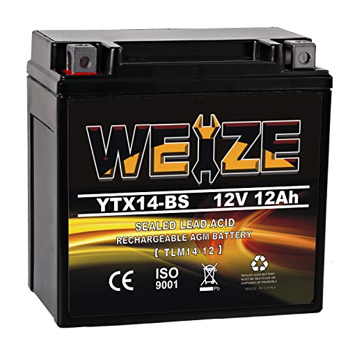 Weize YTX14 BS ATV Battery High Performance - Maintenance...