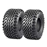 MaxAuto 2 Pcs All Trail Tire 22x11.00-10 Lawn Mower Golf Cart Tire for Hilly Terrian 6Ply