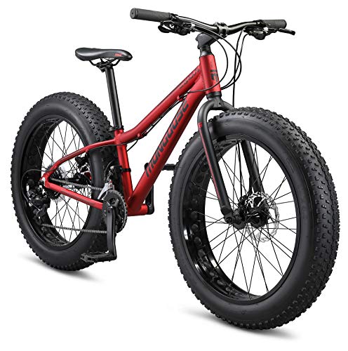 Mongoose Argus Trail Youth Fat Tire Mountain Bike, 24-Inch...
