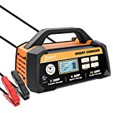 Ampeak 2/8/15A 12V Smart Battery Charger/Maintainer Fully Automatic with Winter Mode